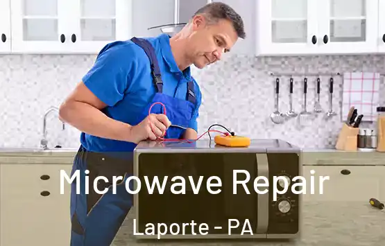  Microwave Repair Laporte - PA
