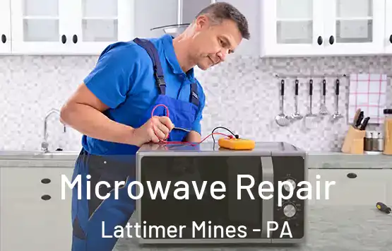  Microwave Repair Lattimer Mines - PA