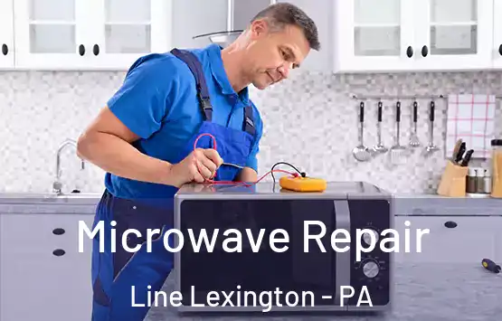  Microwave Repair Line Lexington - PA