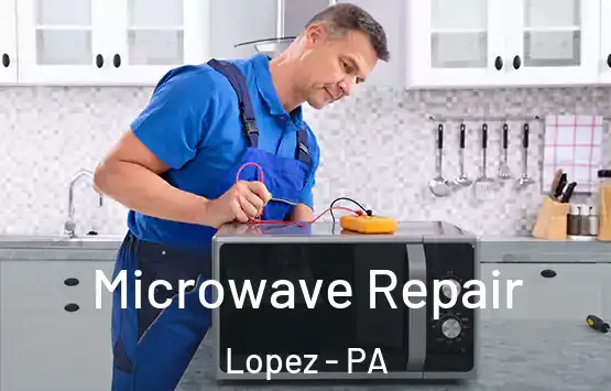  Microwave Repair Lopez - PA