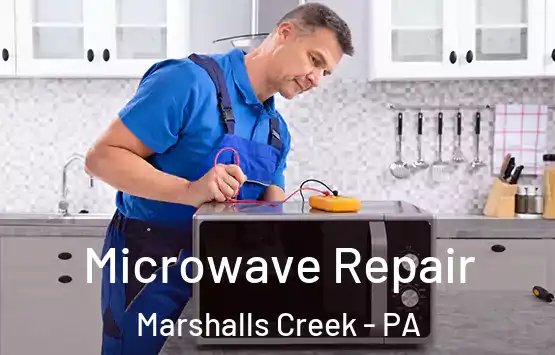  Microwave Repair Marshalls Creek - PA