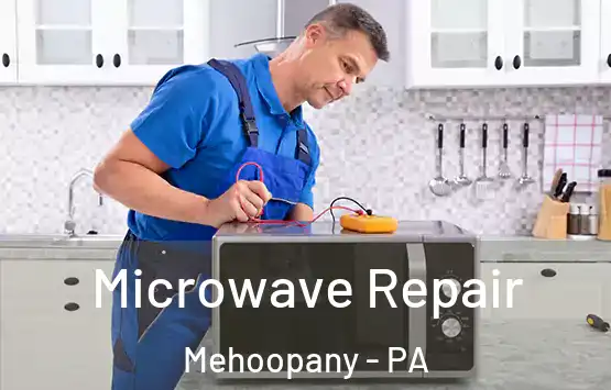  Microwave Repair Mehoopany - PA