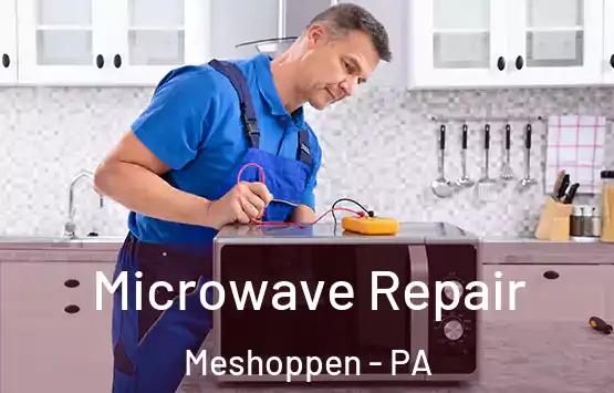  Microwave Repair Meshoppen - PA