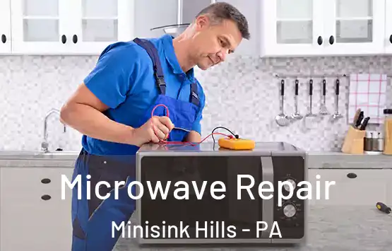  Microwave Repair Minisink Hills - PA