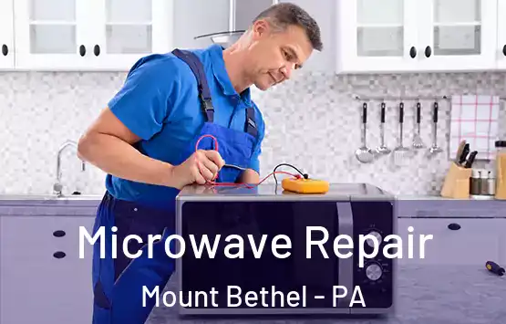  Microwave Repair Mount Bethel - PA