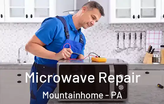  Microwave Repair Mountainhome - PA