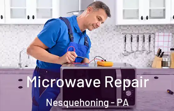  Microwave Repair Nesquehoning - PA