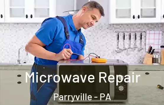  Microwave Repair Parryville - PA