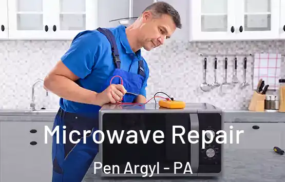  Microwave Repair Pen Argyl - PA