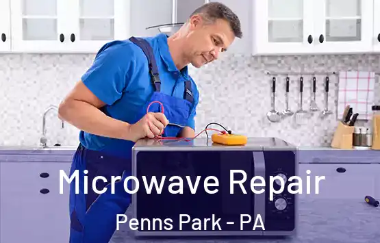 Microwave Repair Penns Park - PA