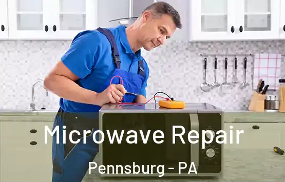  Microwave Repair Pennsburg - PA