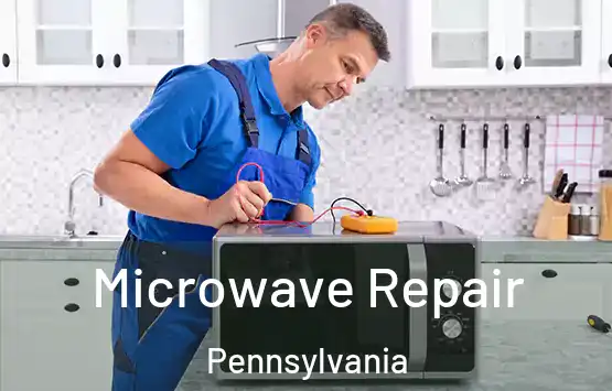  Microwave Repair Pennsylvania