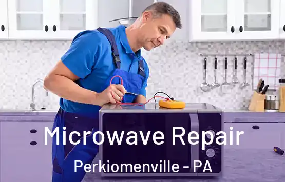  Microwave Repair Perkiomenville - PA