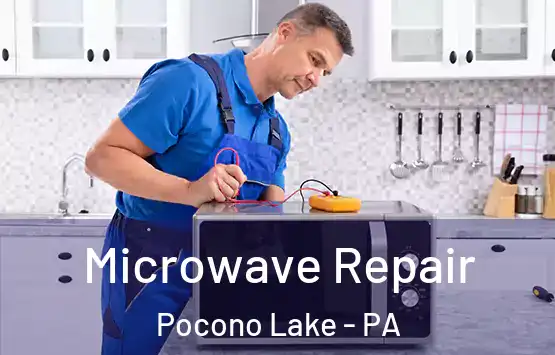  Microwave Repair Pocono Lake - PA