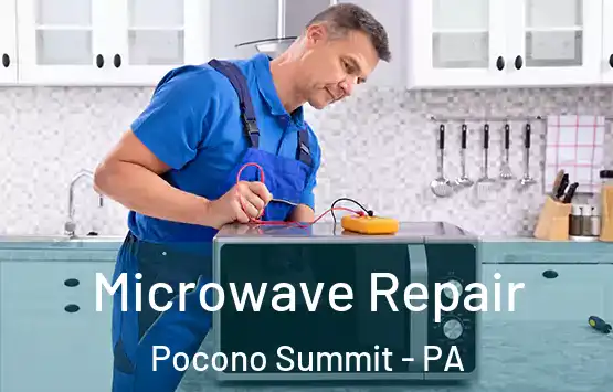  Microwave Repair Pocono Summit - PA