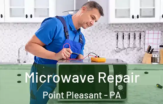  Microwave Repair Point Pleasant - PA