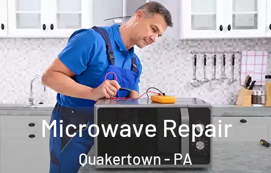  Microwave Repair Quakertown - PA
