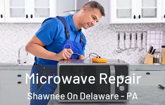  Microwave Repair Shawnee On Delaware - PA