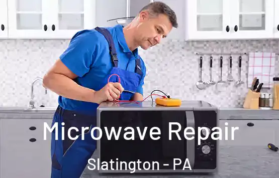  Microwave Repair Slatington - PA