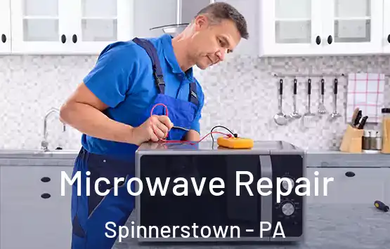  Microwave Repair Spinnerstown - PA