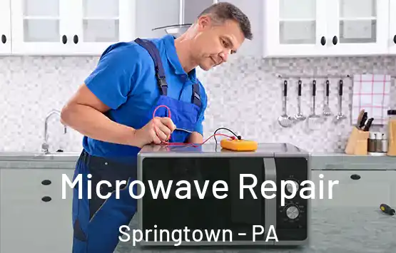  Microwave Repair Springtown - PA