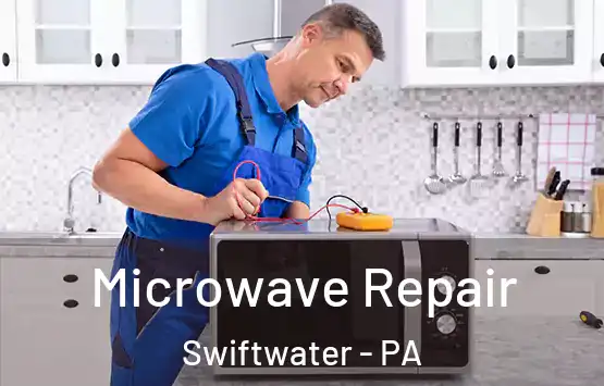  Microwave Repair Swiftwater - PA
