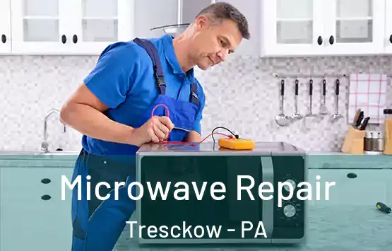  Microwave Repair Tresckow - PA