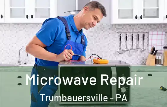  Microwave Repair Trumbauersville - PA