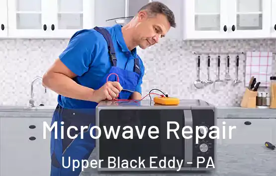  Microwave Repair Upper Black Eddy - PA
