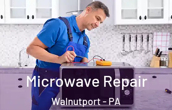  Microwave Repair Walnutport - PA