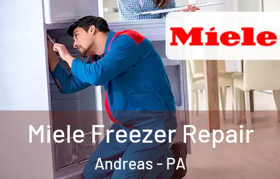  Miele Freezer Repair Andreas - PA