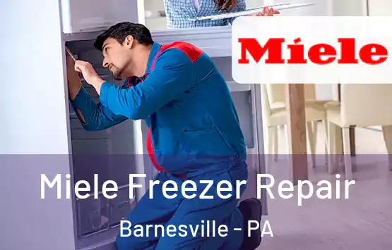 Miele Freezer Repair Barnesville - PA