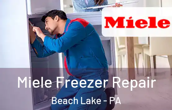  Miele Freezer Repair Beach Lake - PA