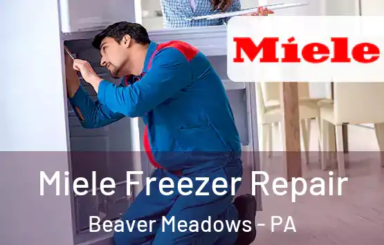  Miele Freezer Repair Beaver Meadows - PA