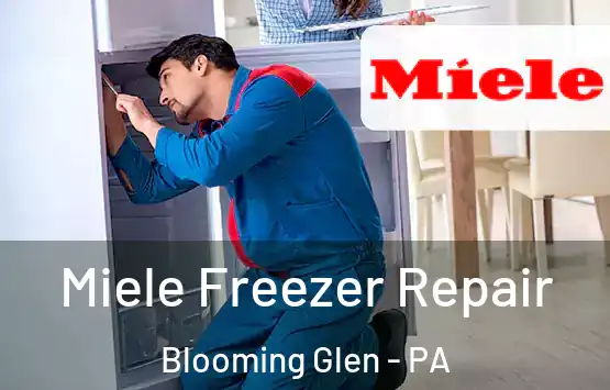  Miele Freezer Repair Blooming Glen - PA