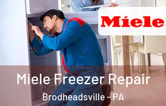  Miele Freezer Repair Brodheadsville - PA