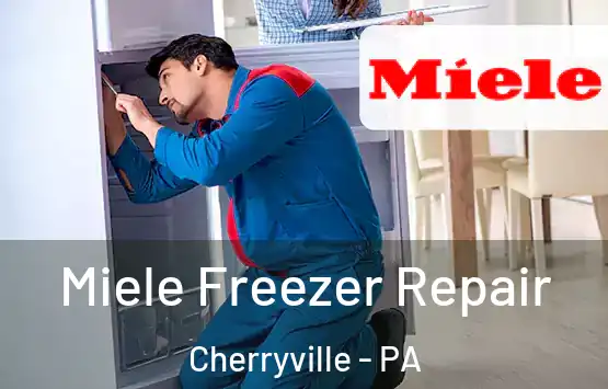  Miele Freezer Repair Cherryville - PA