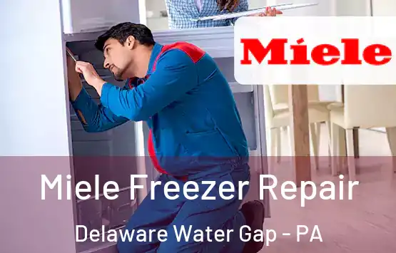  Miele Freezer Repair Delaware Water Gap - PA