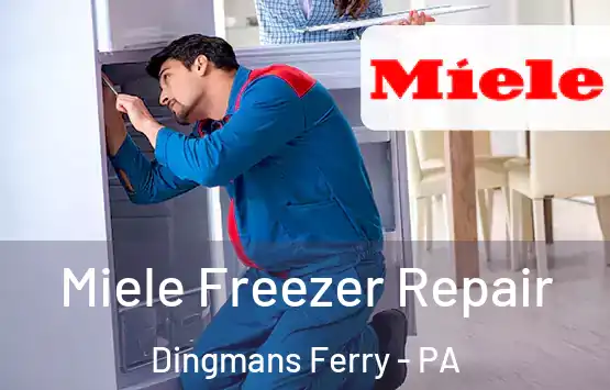  Miele Freezer Repair Dingmans Ferry - PA