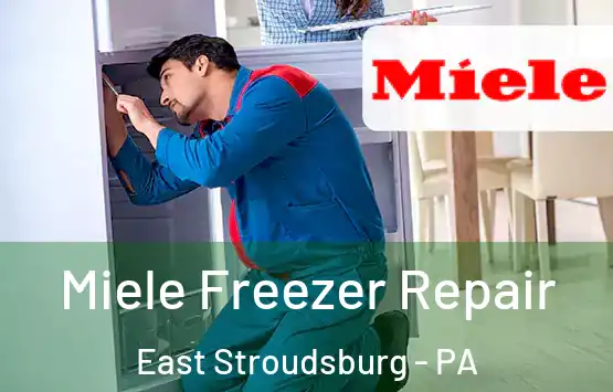  Miele Freezer Repair East Stroudsburg - PA