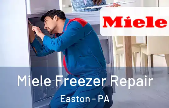  Miele Freezer Repair Easton - PA