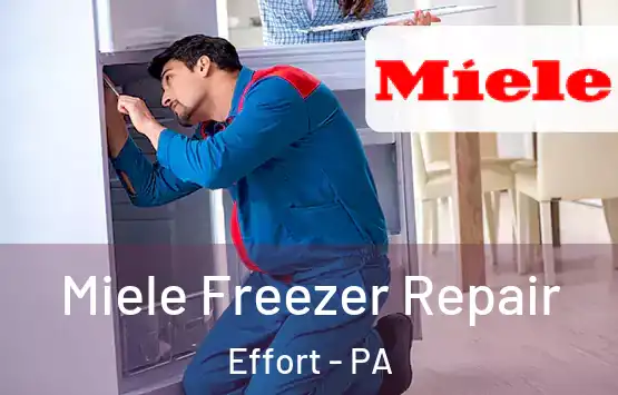  Miele Freezer Repair Effort - PA