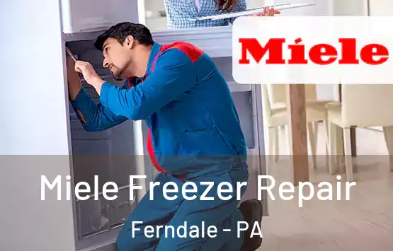  Miele Freezer Repair Ferndale - PA