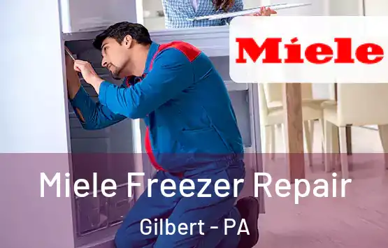  Miele Freezer Repair Gilbert - PA