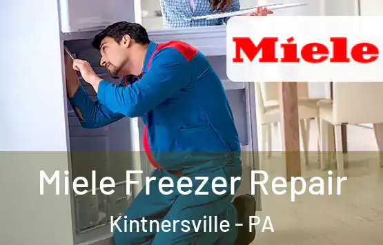  Miele Freezer Repair Kintnersville - PA