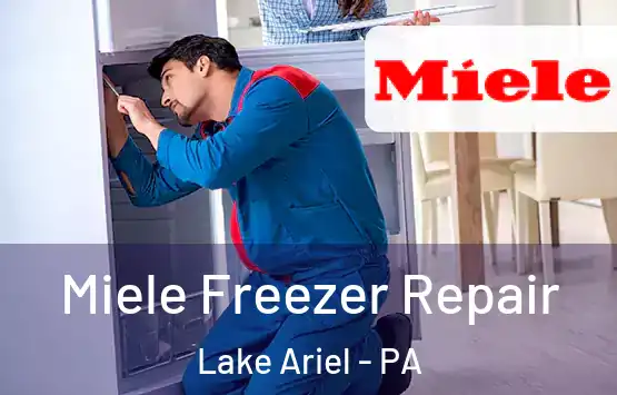  Miele Freezer Repair Lake Ariel - PA