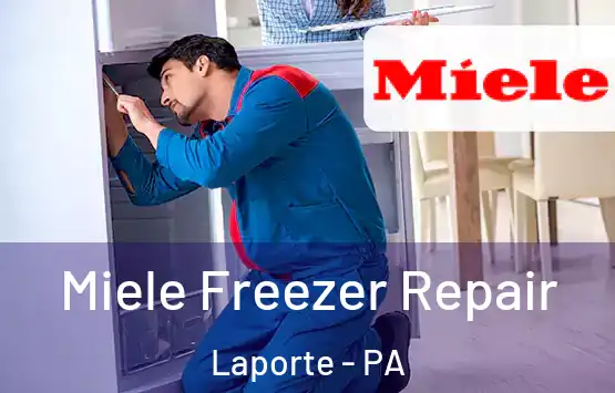  Miele Freezer Repair Laporte - PA
