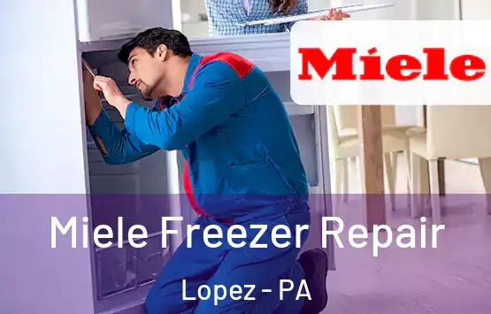  Miele Freezer Repair Lopez - PA