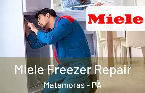  Miele Freezer Repair Matamoras - PA