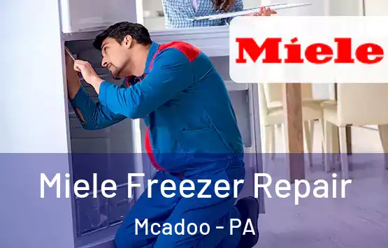 Miele Freezer Repair Mcadoo - PA